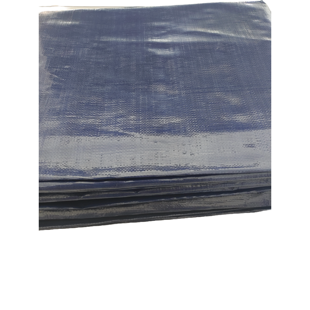 BÂCHE LOURDE PE250GR/M2 6X8 METER