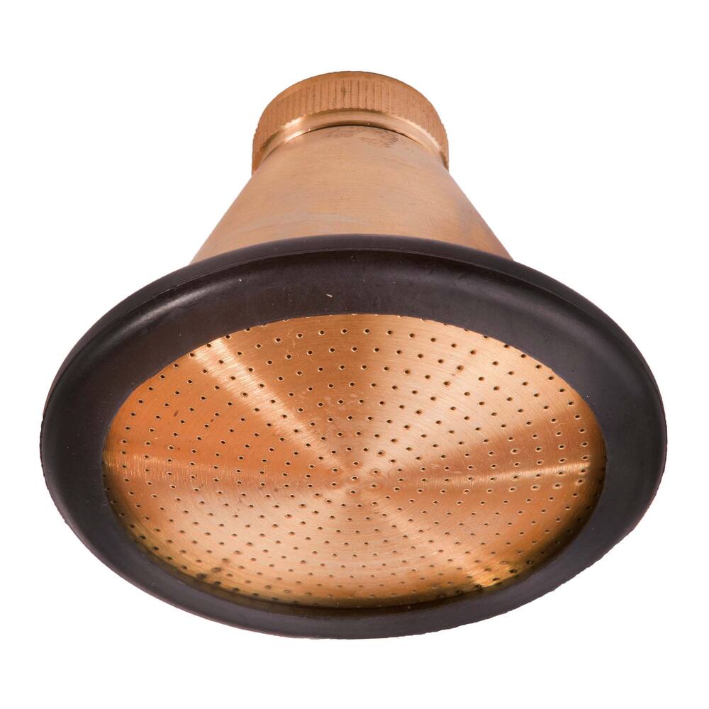 DUSHKOPF KÖRPERDUSCHE MESSING 1"