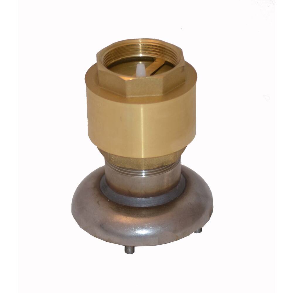 MARINE VALVE WITH SPRING 2" INTERNAL THREAD