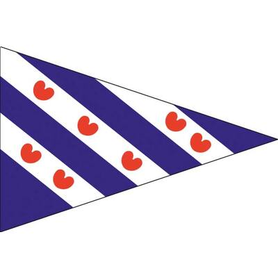 PUNTVLAG, FRIESLAND