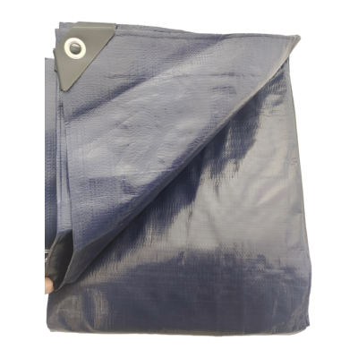 BÂCHE LOURDE PE250GR/M2 6X8 METER