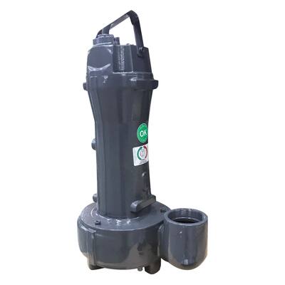 ZENIT DRG 250/2/G65V, ATEX