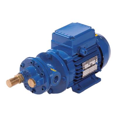 TANDRADPOMP GEAR 300/5L-10B